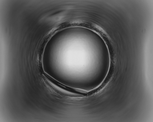 X0000085000825200703121458