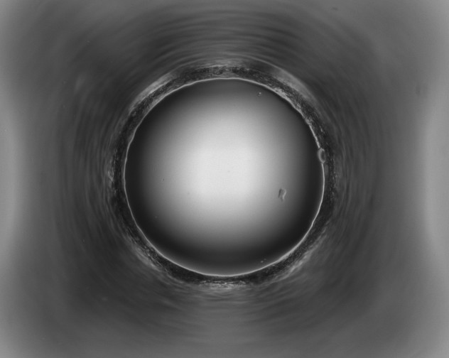 X0000085000826200703121458