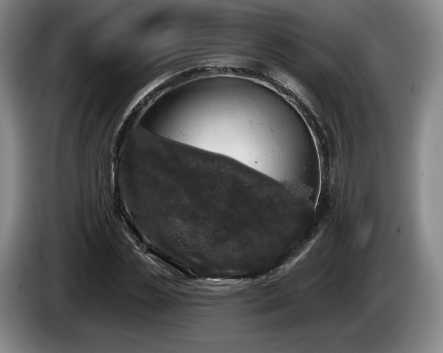 X0000085000829200703121458