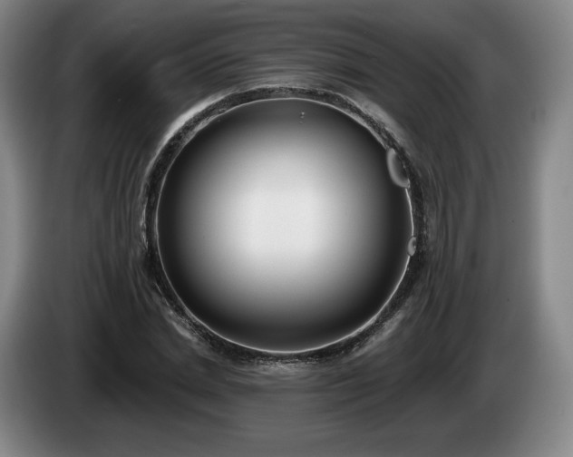 X0000085000830200703121458