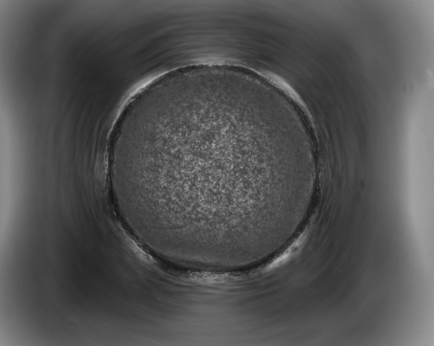 X0000085000831200703121458