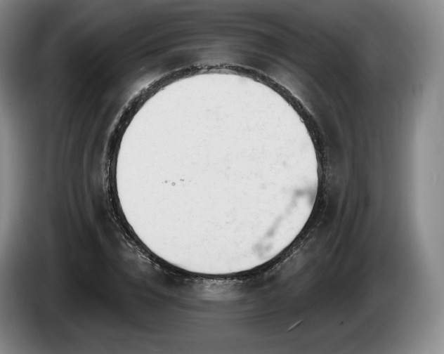 X0000085000832200703121458