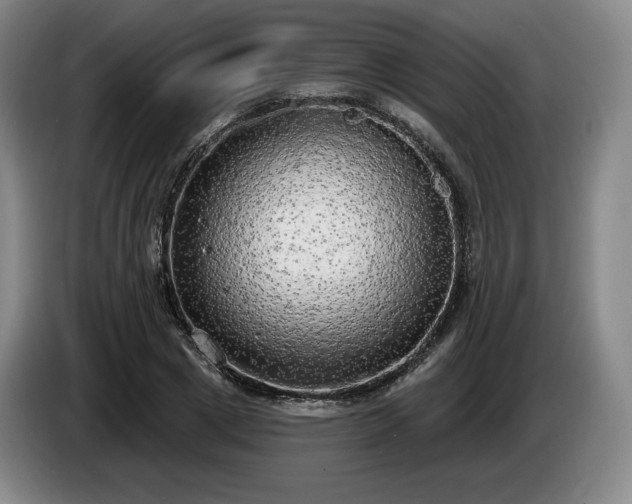 X0000085000833200703121458