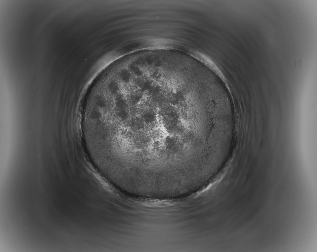 X0000085000835200703121458