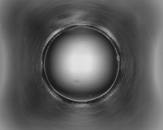 X0000085000837200703121459