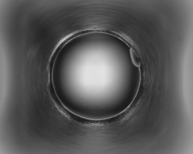 X0000085000838200703121459