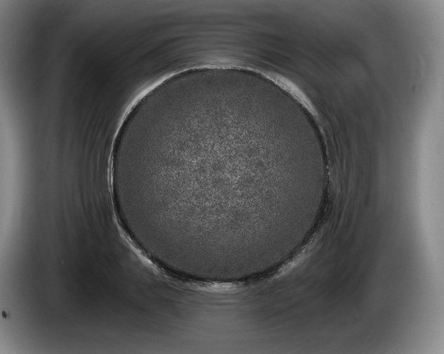 X0000085000839200703121459