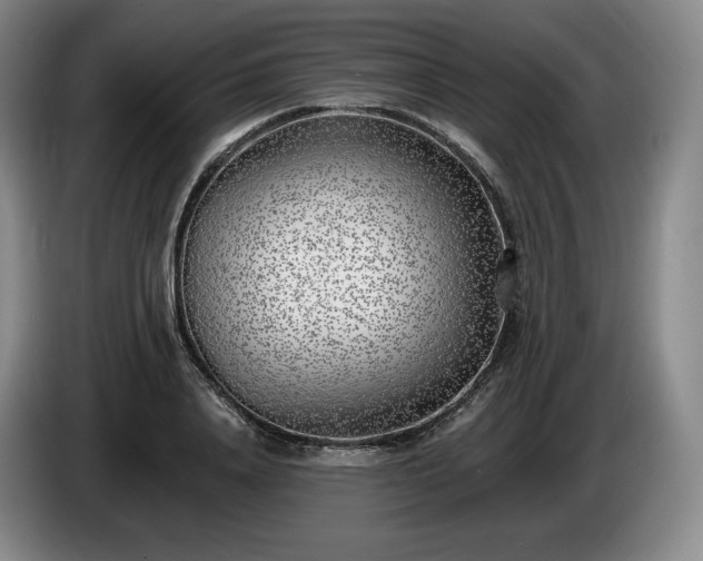 X0000085000840200703121459