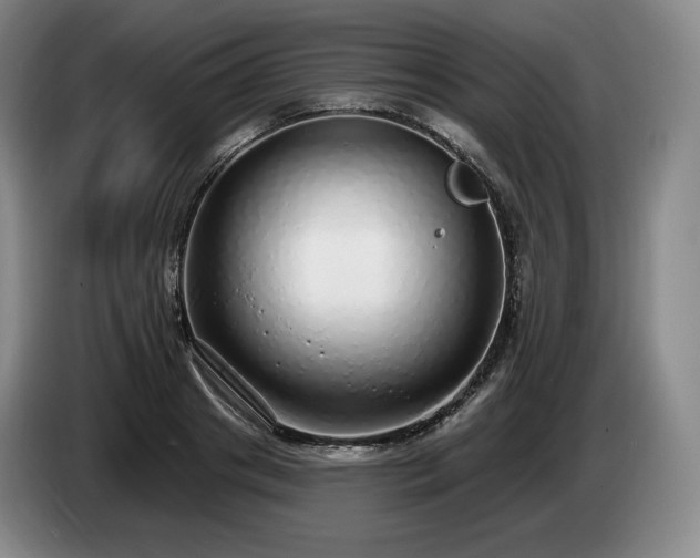 X0000085000841200703121459