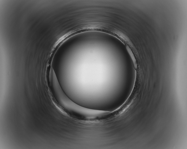 X0000085000842200703121459