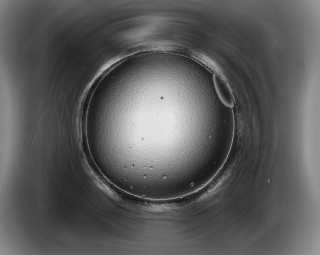 X0000085000843200703121459