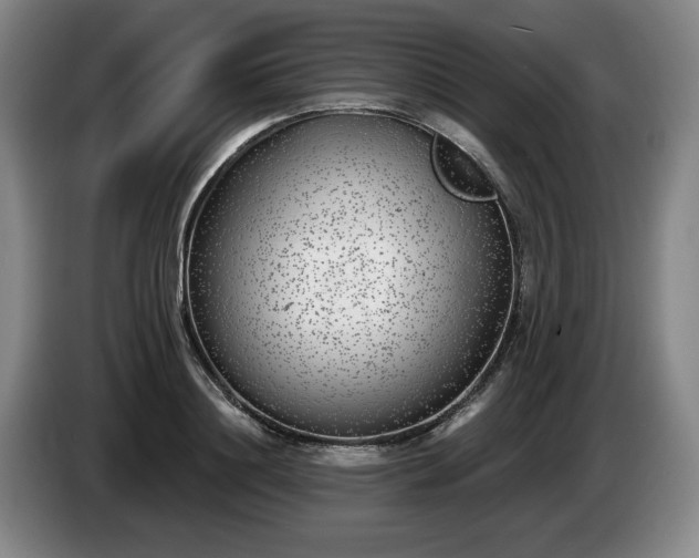 X0000085000844200703121459