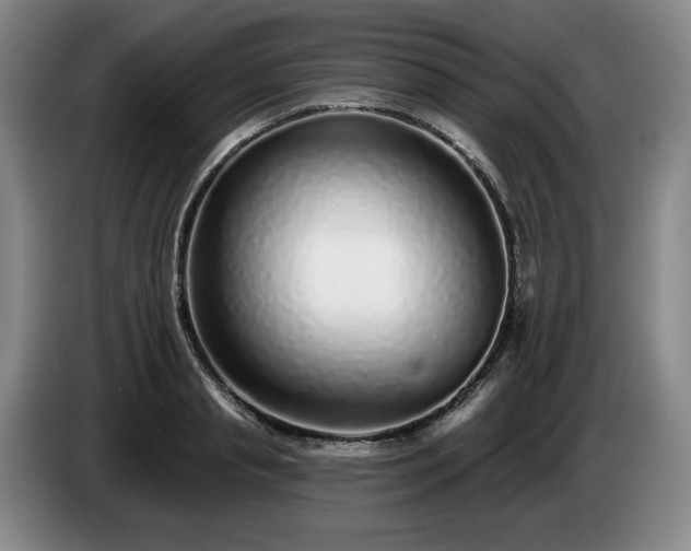 X0000085000845200703121459