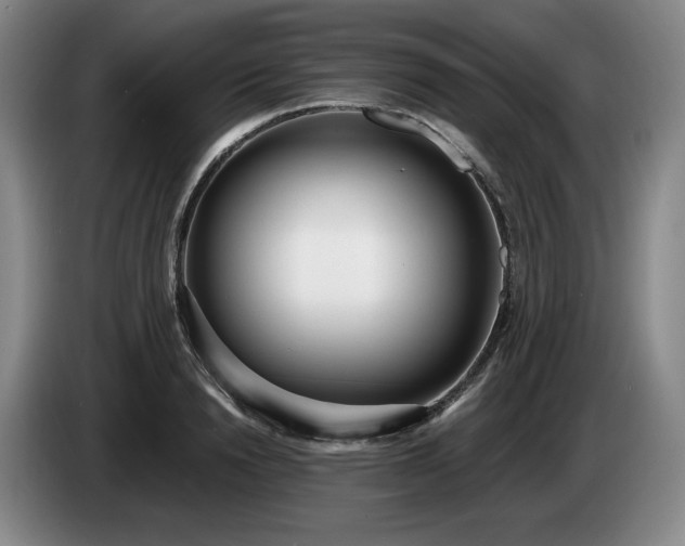 X0000085000846200703121459