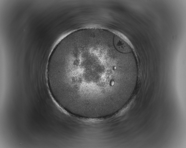 X0000085000847200703121459