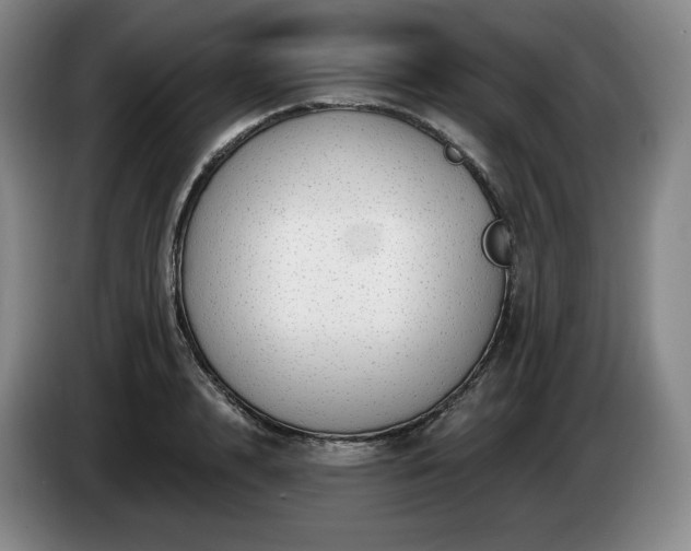 X0000085000848200703121459