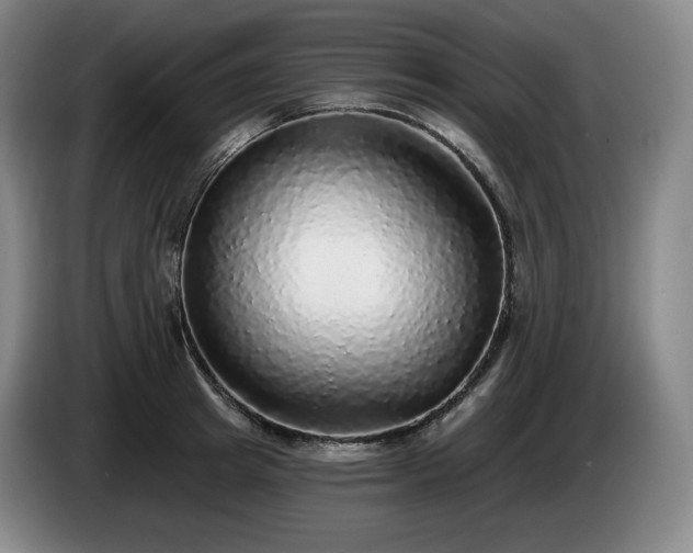 X0000085000849200703121459