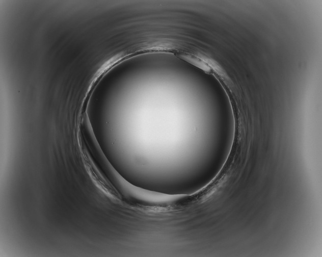 X0000085000850200703121459