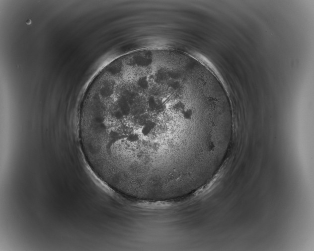 X0000085000851200703121459