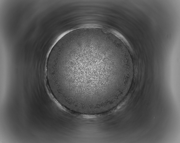 X0000085000852200703121459