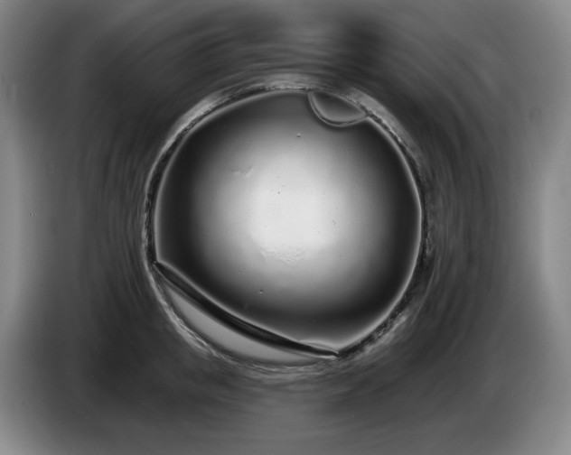 X0000085000853200703121459