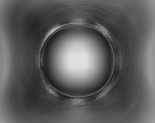 X0000085000854200703121459