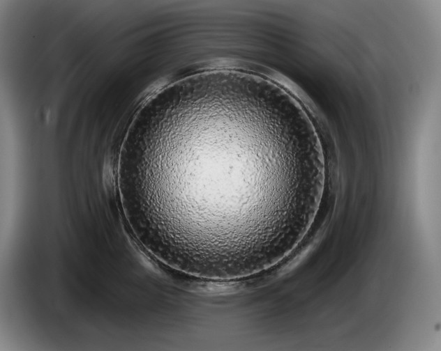 X0000085000857200703121459