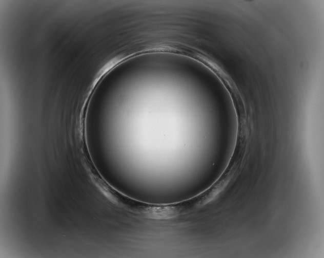 X0000085000858200703121459