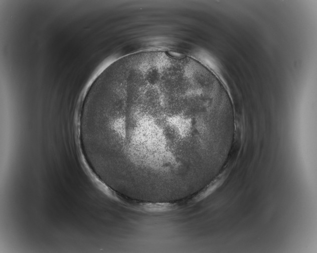 X0000085000859200703121459