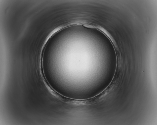 X0000085000861200703121459