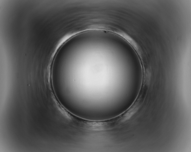 X0000085000862200703121459