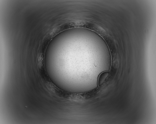 X0000085000866200703121458