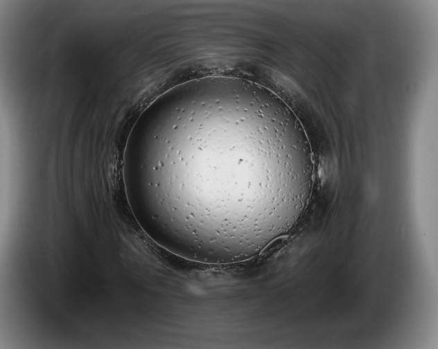 X0000085000867200703121458