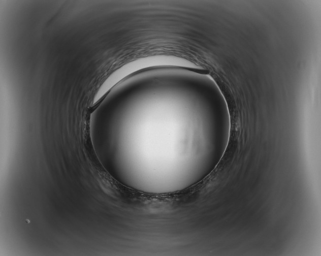 X0000085000868200703121458