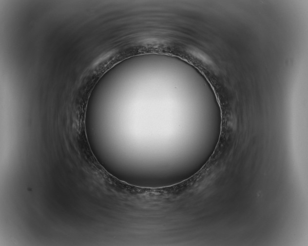 X0000085000869200703121458