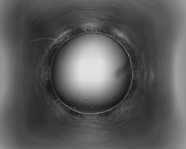 X0000085000870200703121458