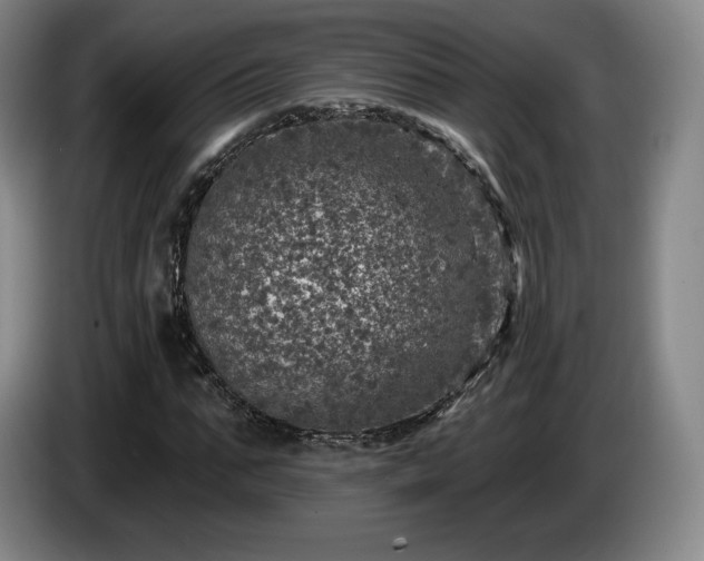 X0000085000871200703121458