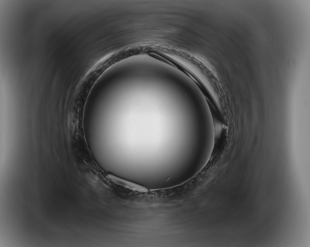 X0000085000872200703121458