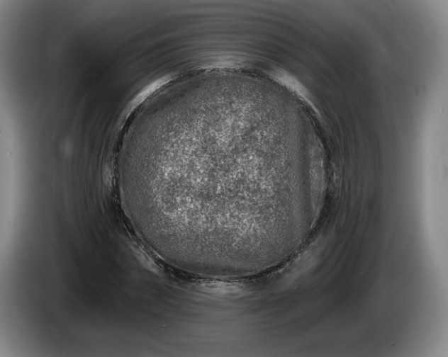 X0000085000874200703121458