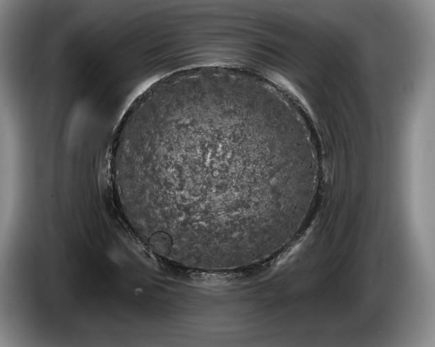 X0000085000875200703121458