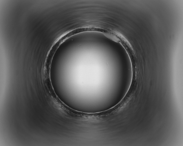 X0000085000876200703121458