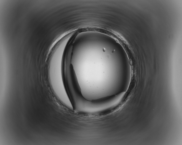 X0000085000877200703121458