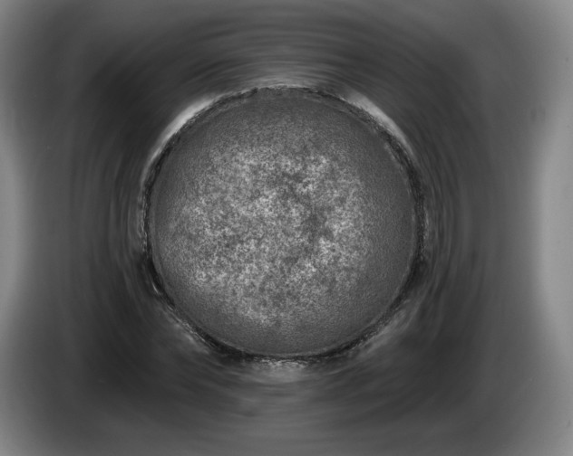 X0000085000878200703121458