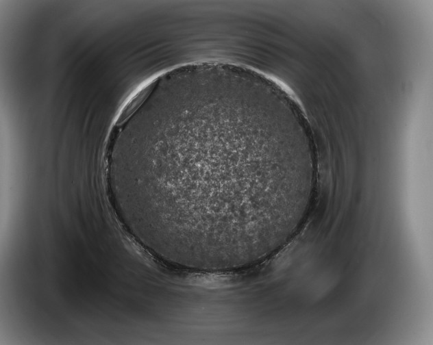 X0000085000879200703121458