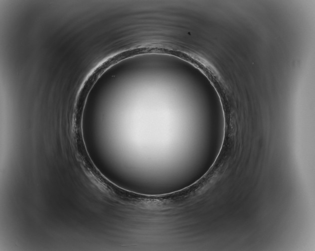 X0000085000880200703121458