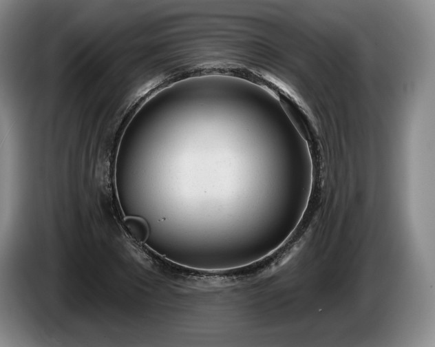 X0000085000881200703121458