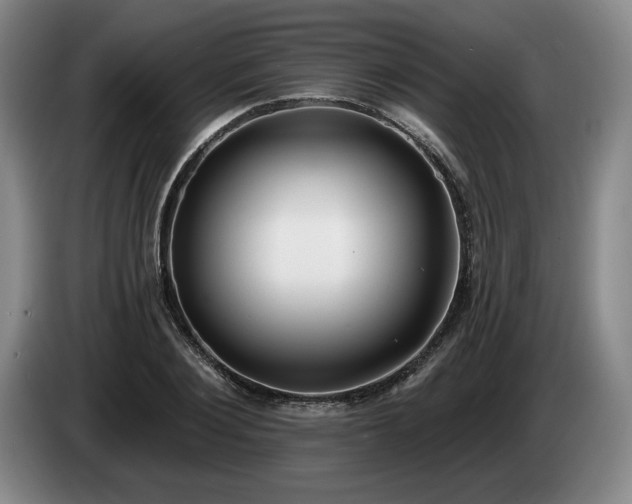 X0000085000884200703121458