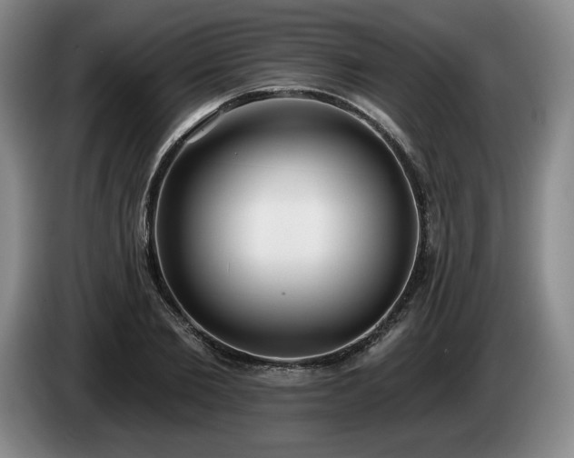 X0000085000885200703121458