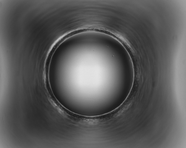 X0000085000888200703121458