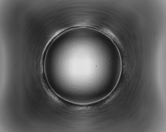 X0000085000892200703121458